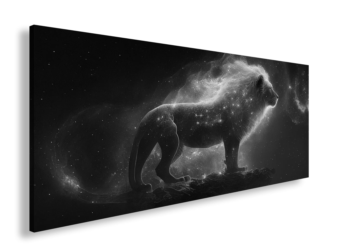 Hauptbild Schwarz & Weiß Panorama