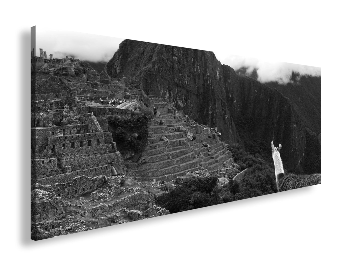 Hauptbild Schwarz & Weiß Panorama