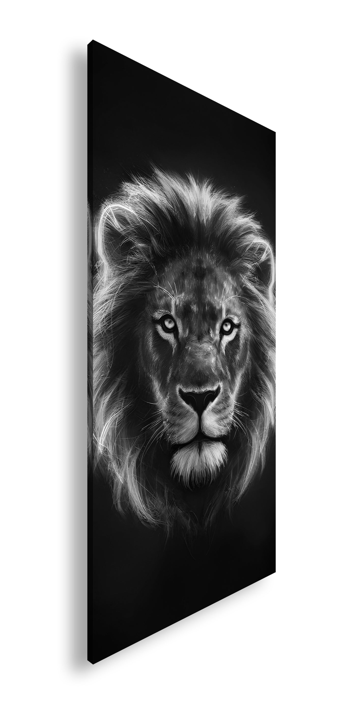 Hauptbild Schwarz & Weiß Panorama