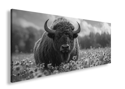 Hauptbild Schwarz & Weiß Panorama