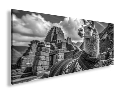 Hauptbild Schwarz & Weiß Panorama