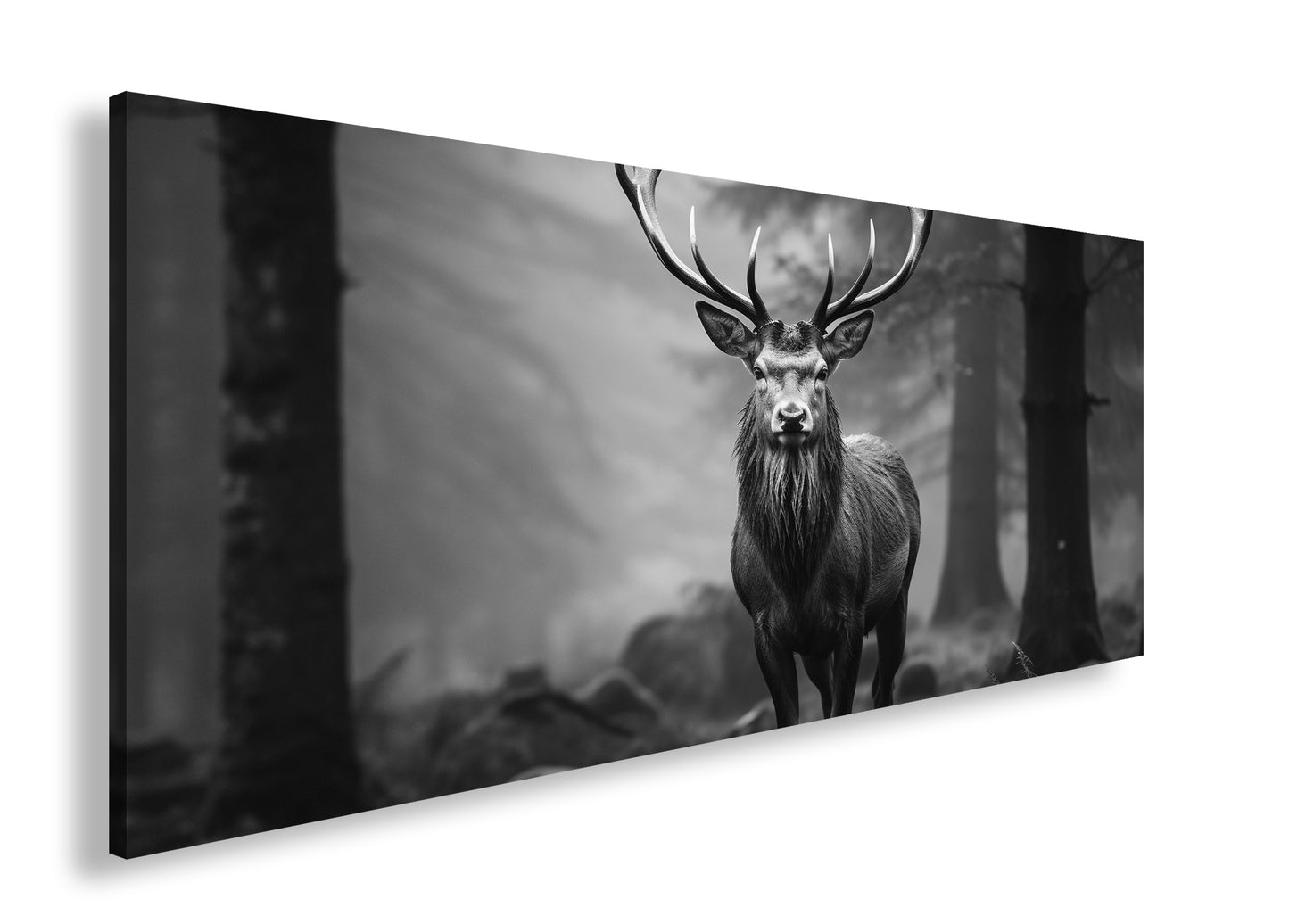 Hauptbild Schwarz & Weiß Panorama