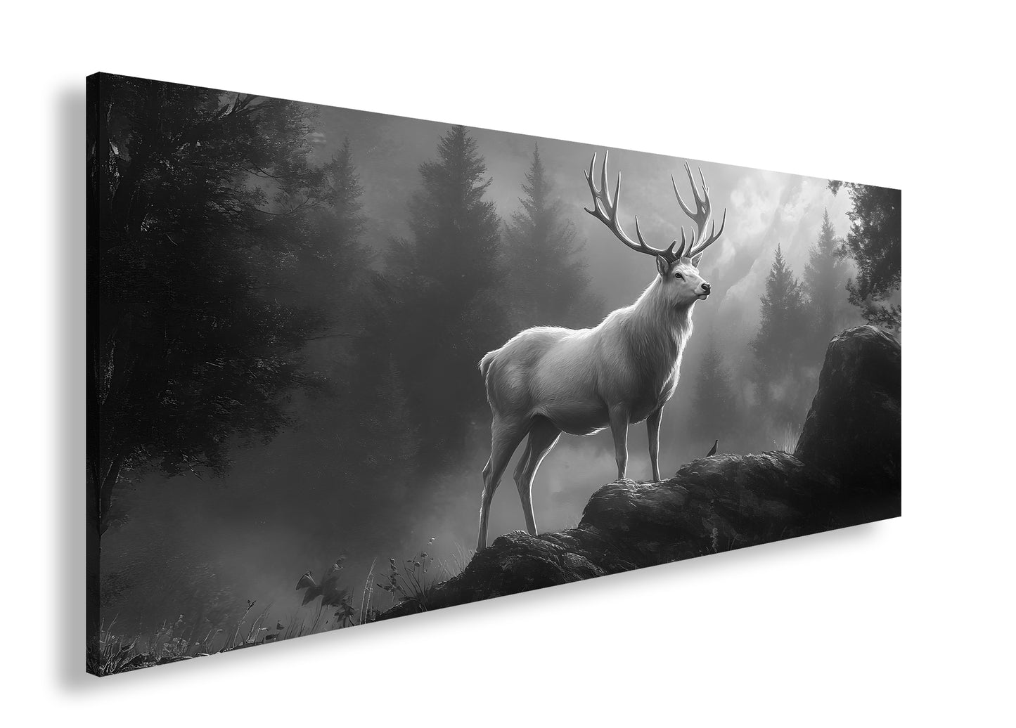 Hauptbild Schwarz & Weiß Panorama