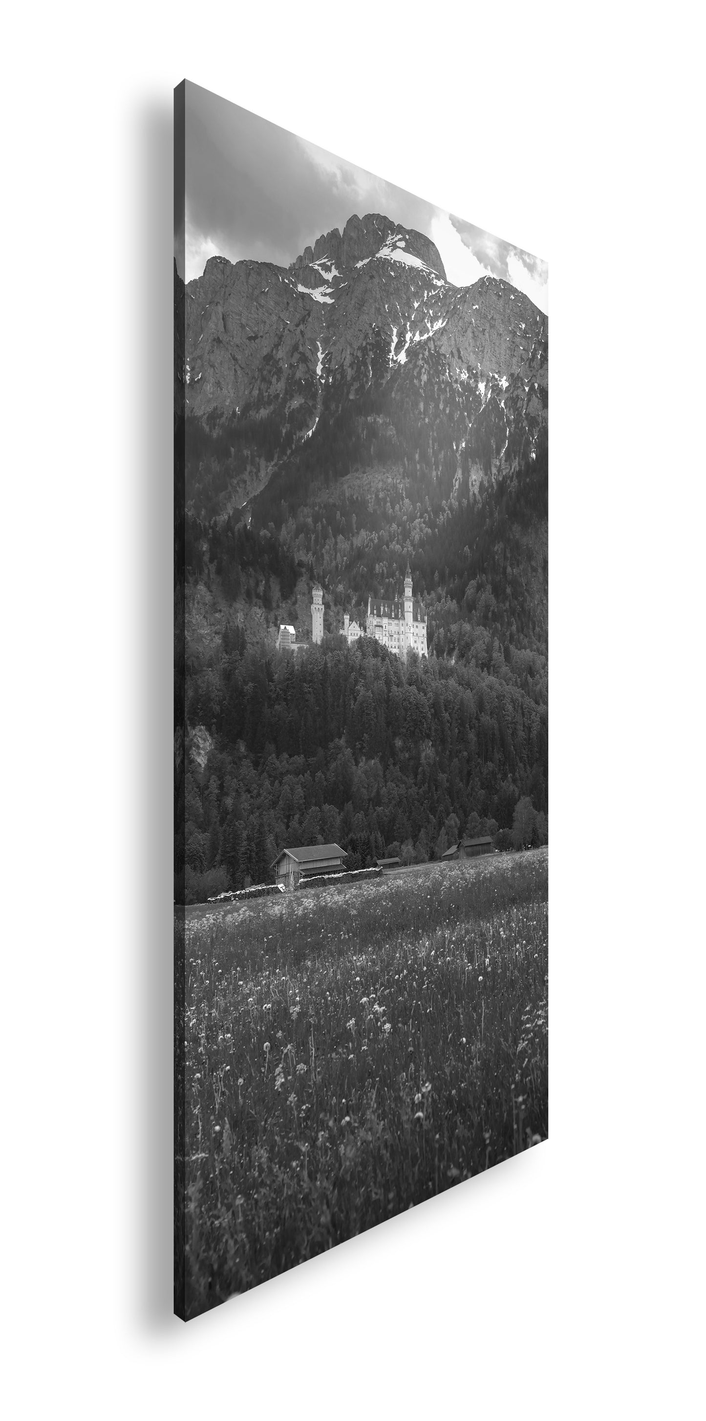 Hauptbild Schwarz & Weiß Panorama