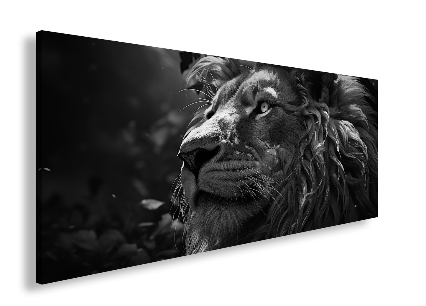 Hauptbild Schwarz & Weiß Panorama