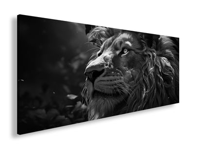 Hauptbild Schwarz & Weiß Panorama