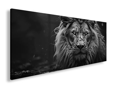 Hauptbild Schwarz & Weiß Panorama