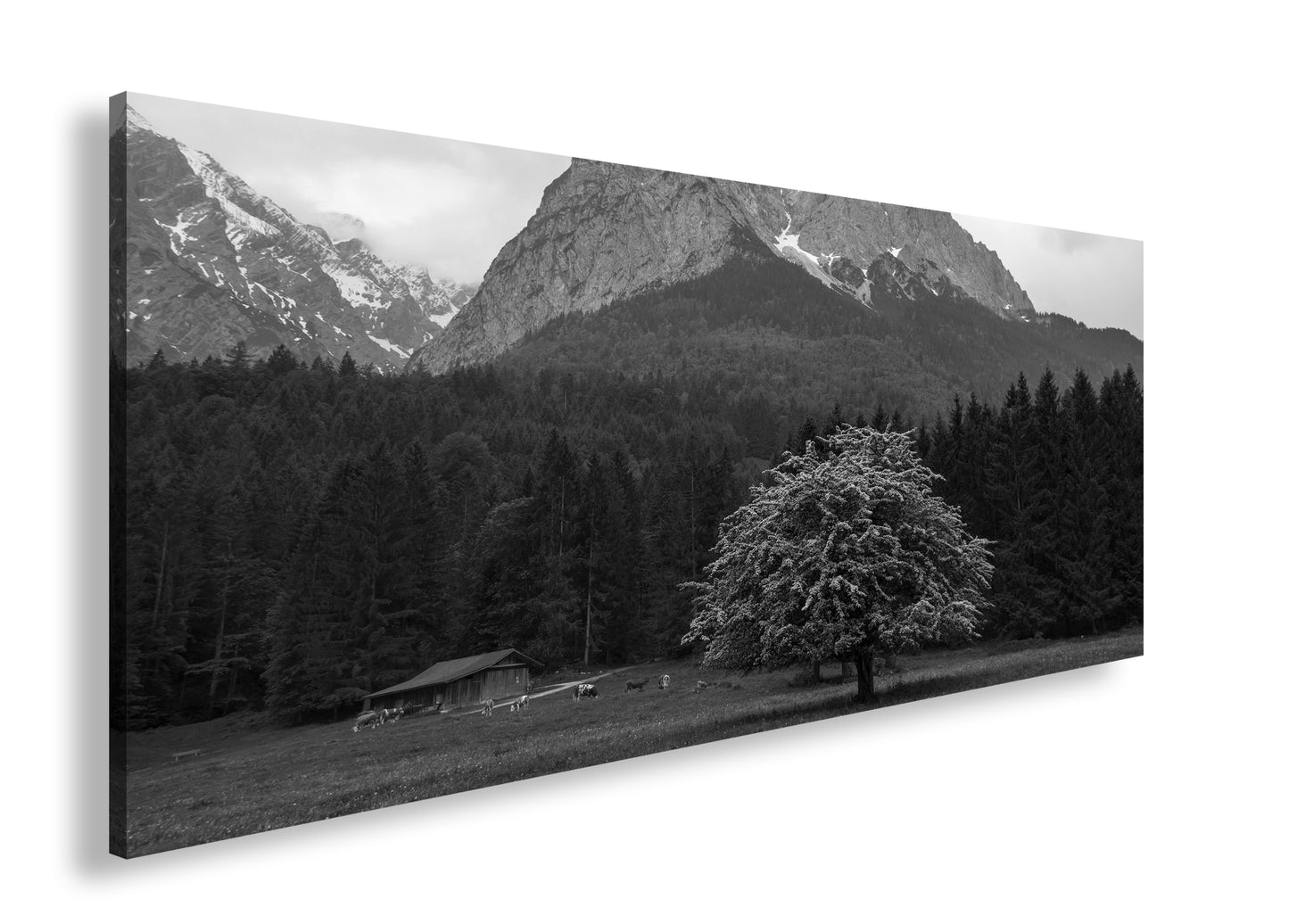 Hauptbild Schwarz & Weiß Panorama