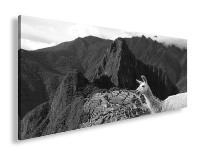 Hauptbild Schwarz & Weiß Panorama