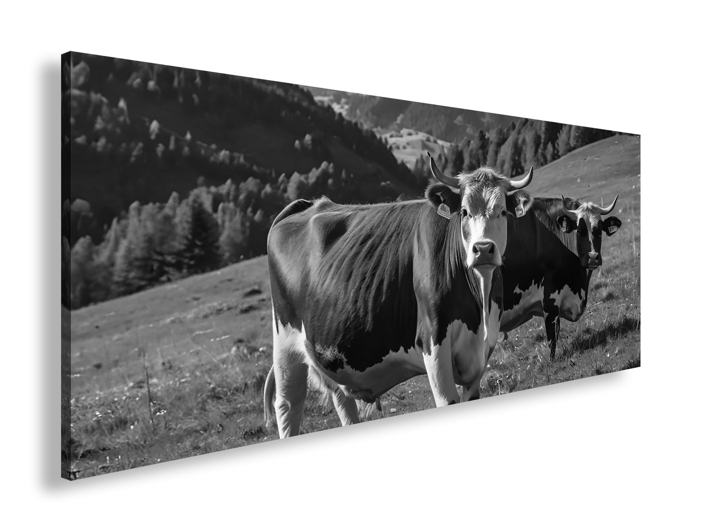 Hauptbild Schwarz & Weiß Panorama