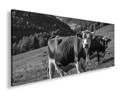 Hauptbild Schwarz & Weiß Panorama