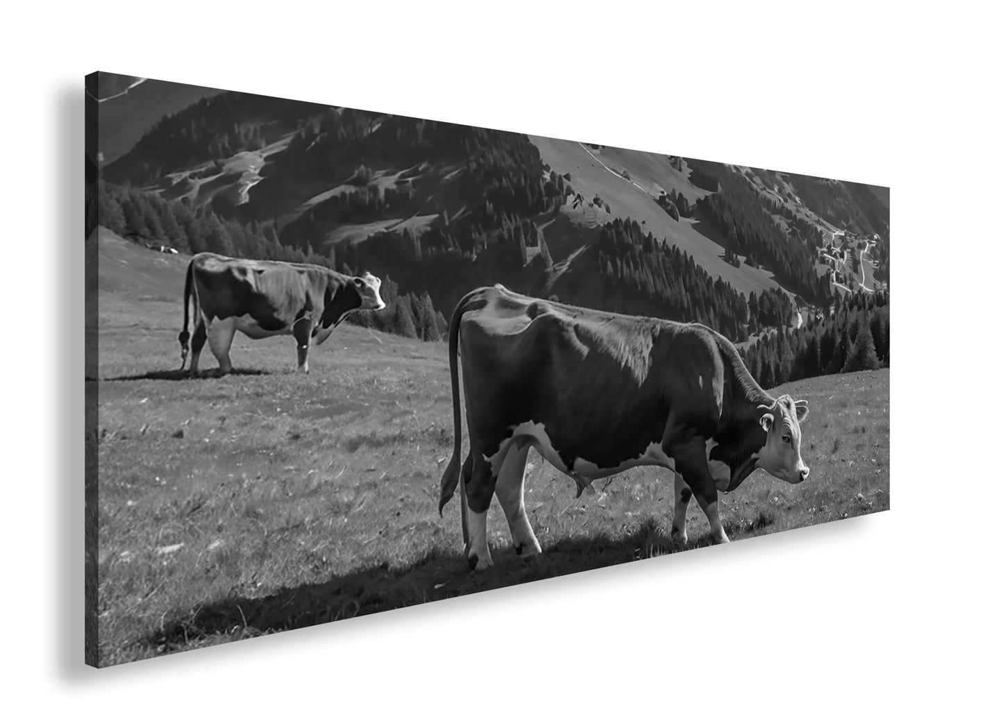 Hauptbild Schwarz & Weiß Panorama