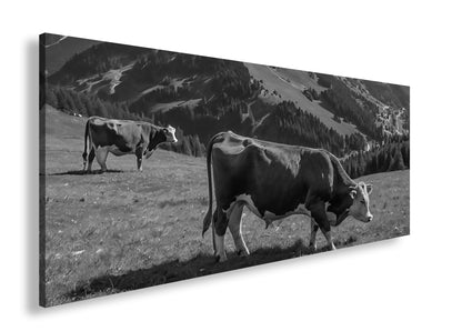 Hauptbild Schwarz & Weiß Panorama