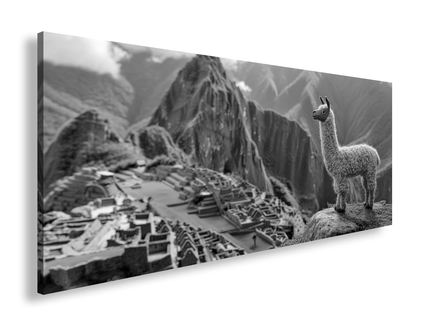 Hauptbild Schwarz & Weiß Panorama