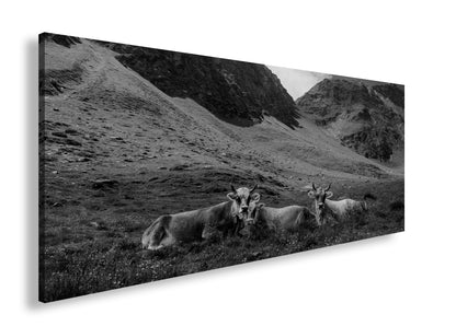 Hauptbild Schwarz & Weiß Panorama