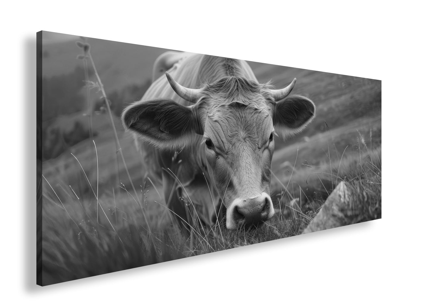 Hauptbild Schwarz & Weiß Panorama