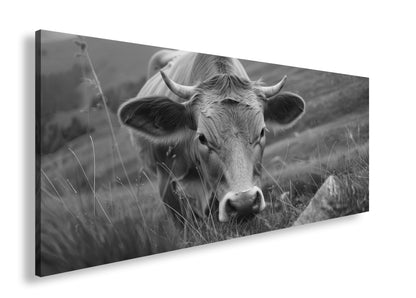 Hauptbild Schwarz & Weiß Panorama