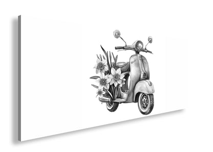 Hauptbild Schwarz & Weiß Panorama