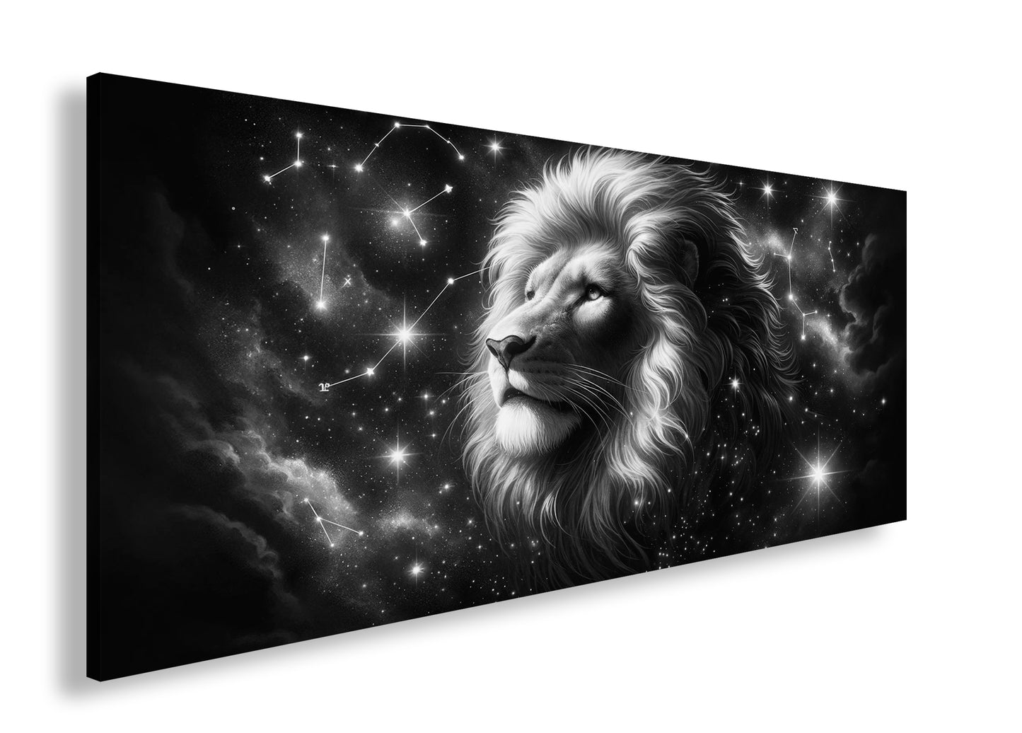 Hauptbild Schwarz & Weiß Panorama