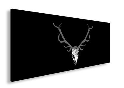 Hauptbild Schwarz & Weiß Panorama