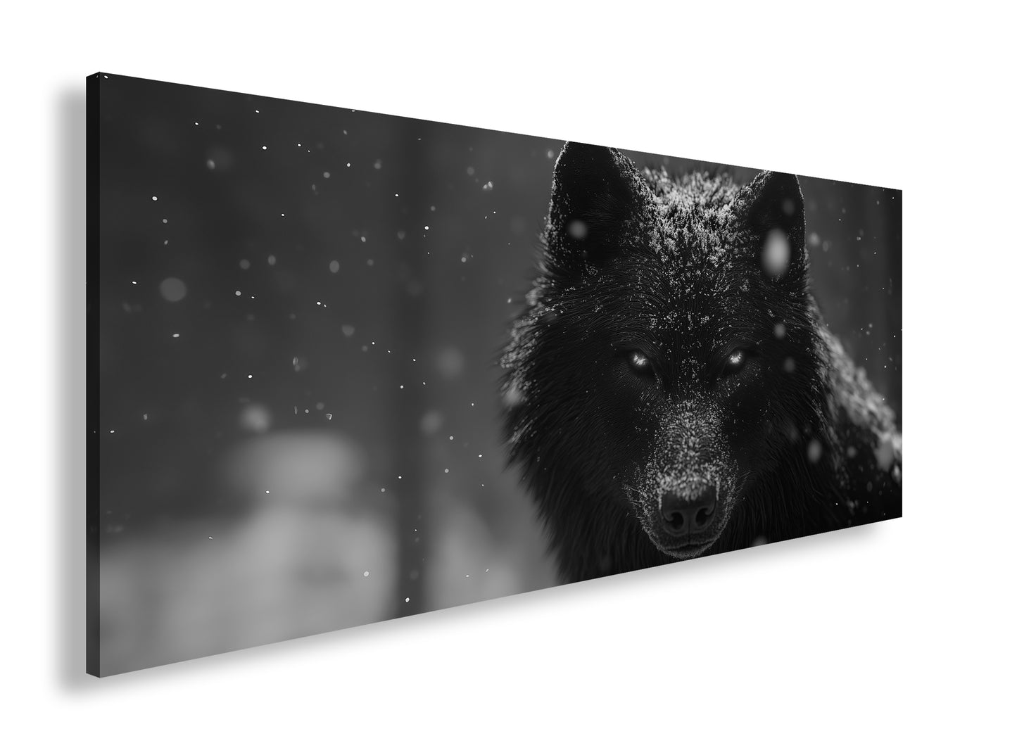 Hauptbild Schwarz & Weiß Panorama