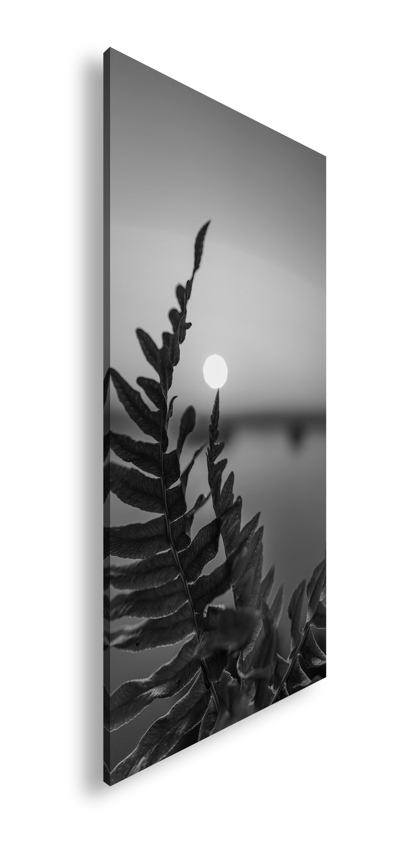 Hauptbild Schwarz & Weiß Panorama