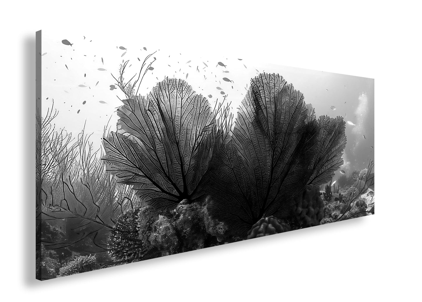 Hauptbild Schwarz & Weiß Panorama