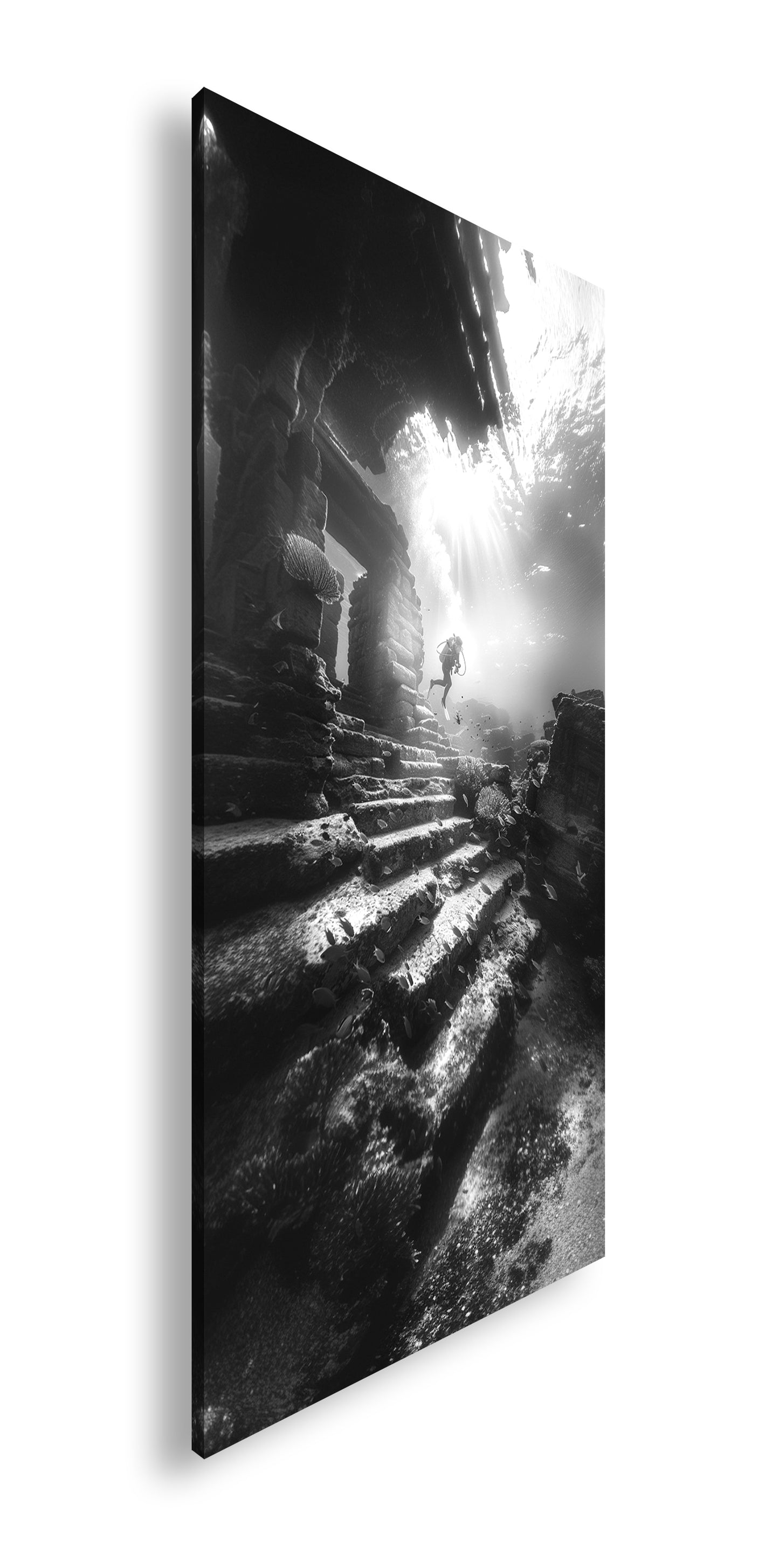 Hauptbild Schwarz & Weiß Panorama