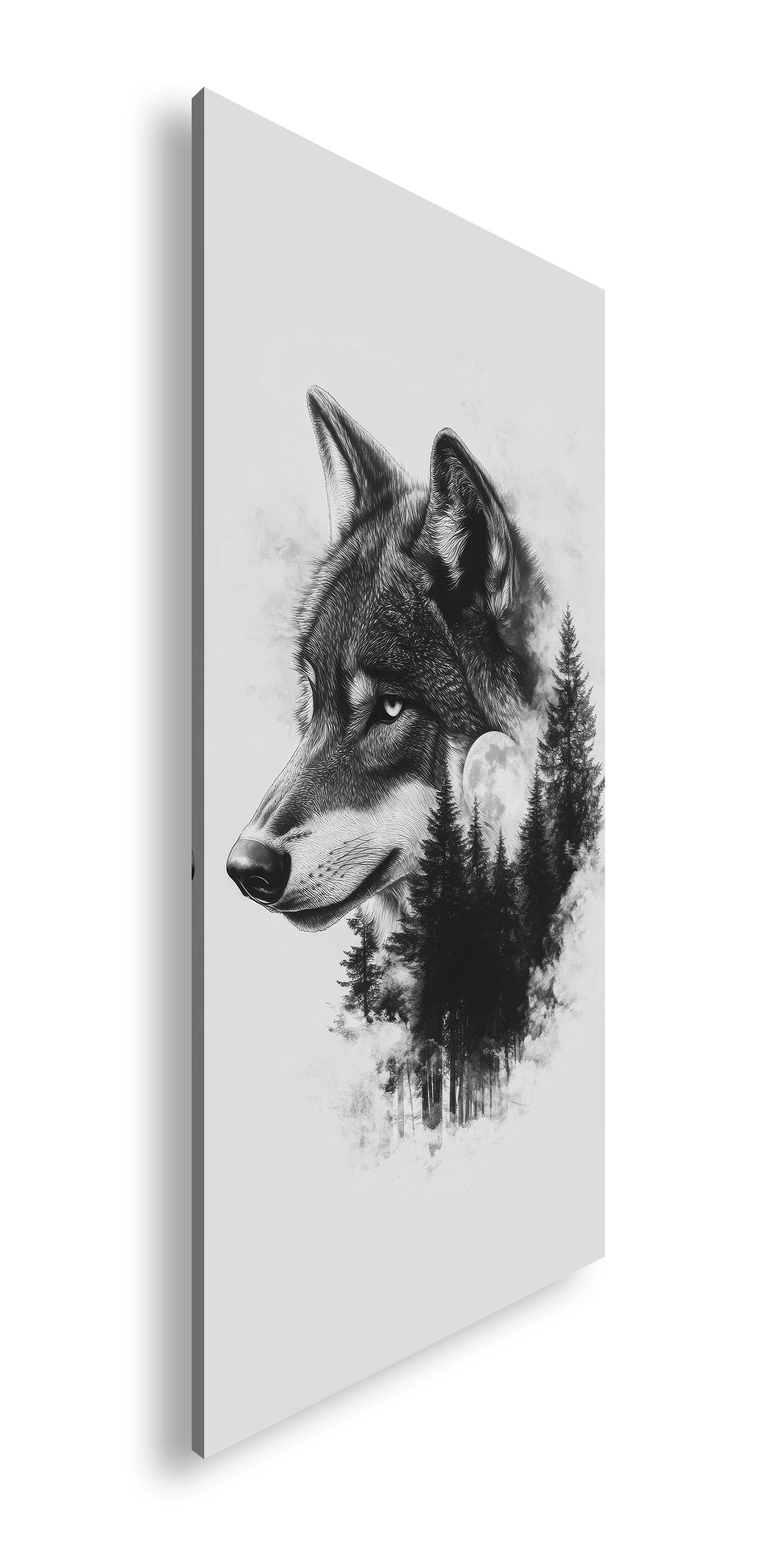 Hauptbild Schwarz & Weiß Panorama