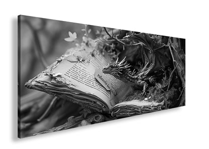 Hauptbild Schwarz & Weiß Panorama