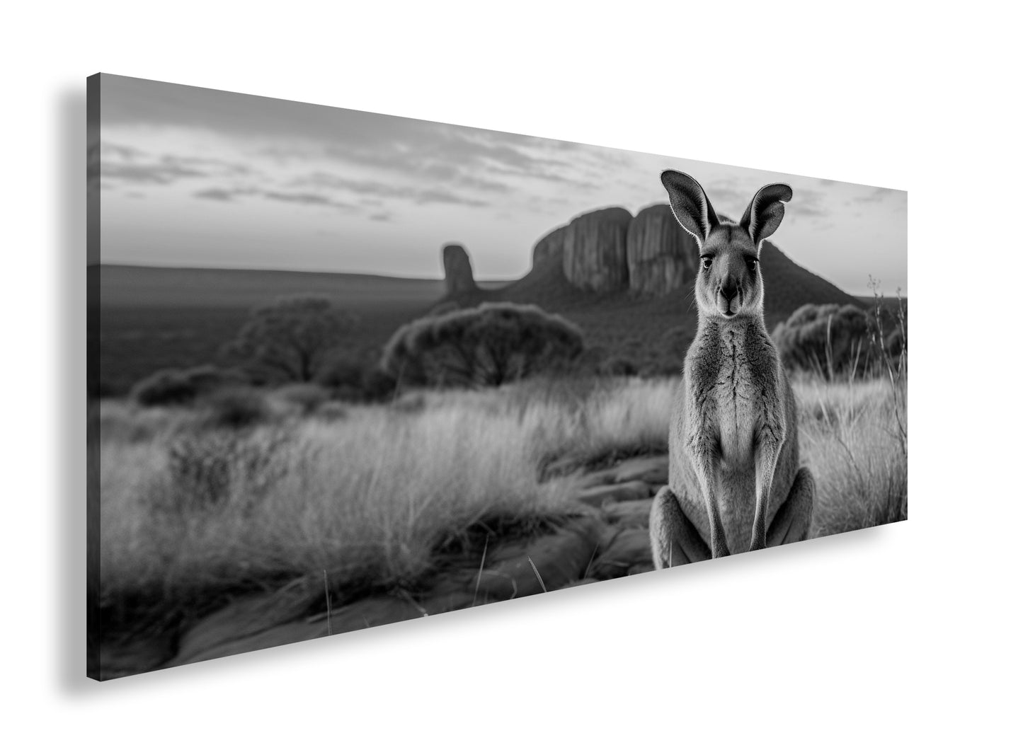 Hauptbild Schwarz & Weiß Panorama