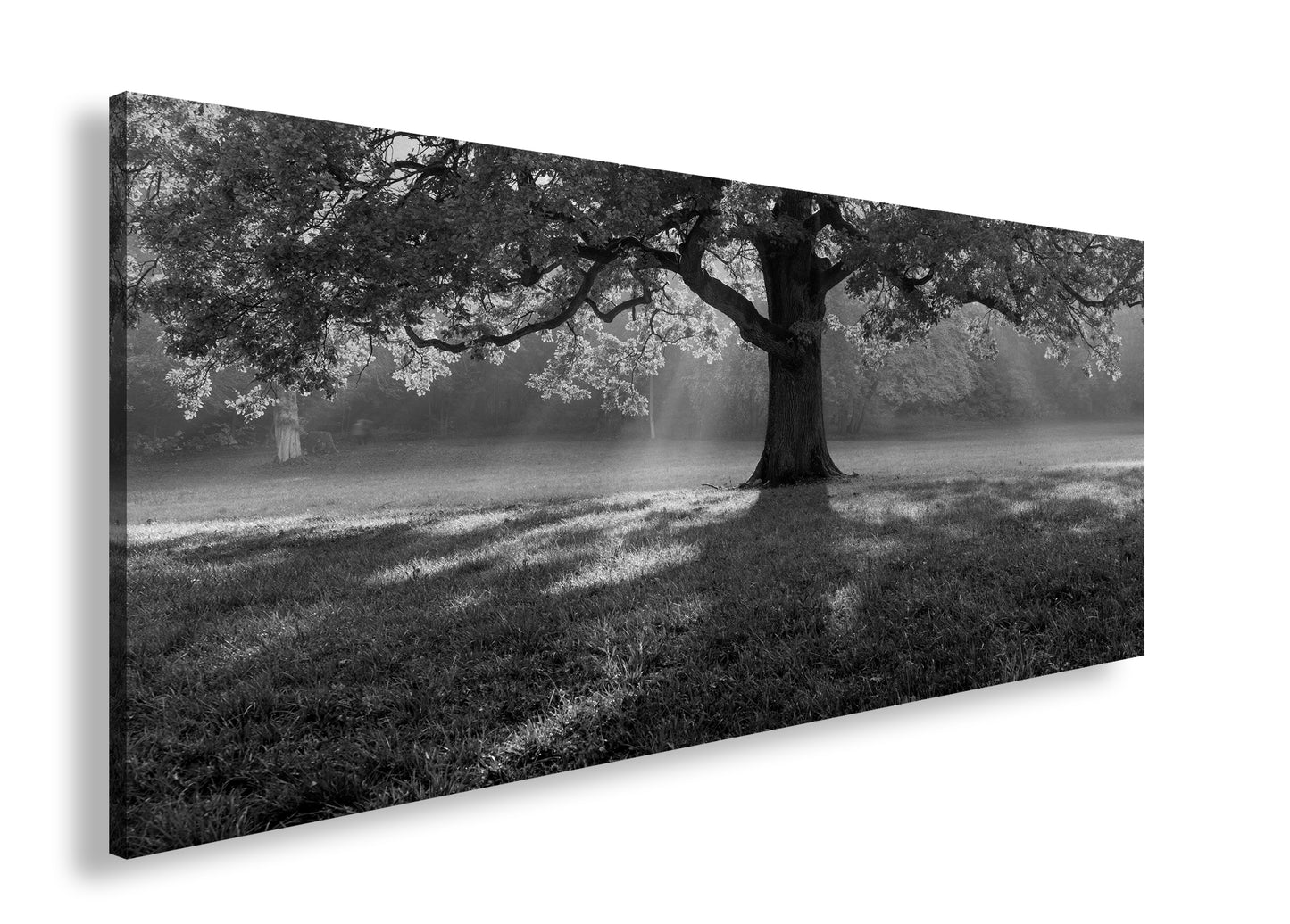 Hauptbild Schwarz & Weiß Panorama