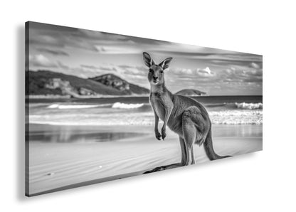 Hauptbild Schwarz & Weiß Panorama