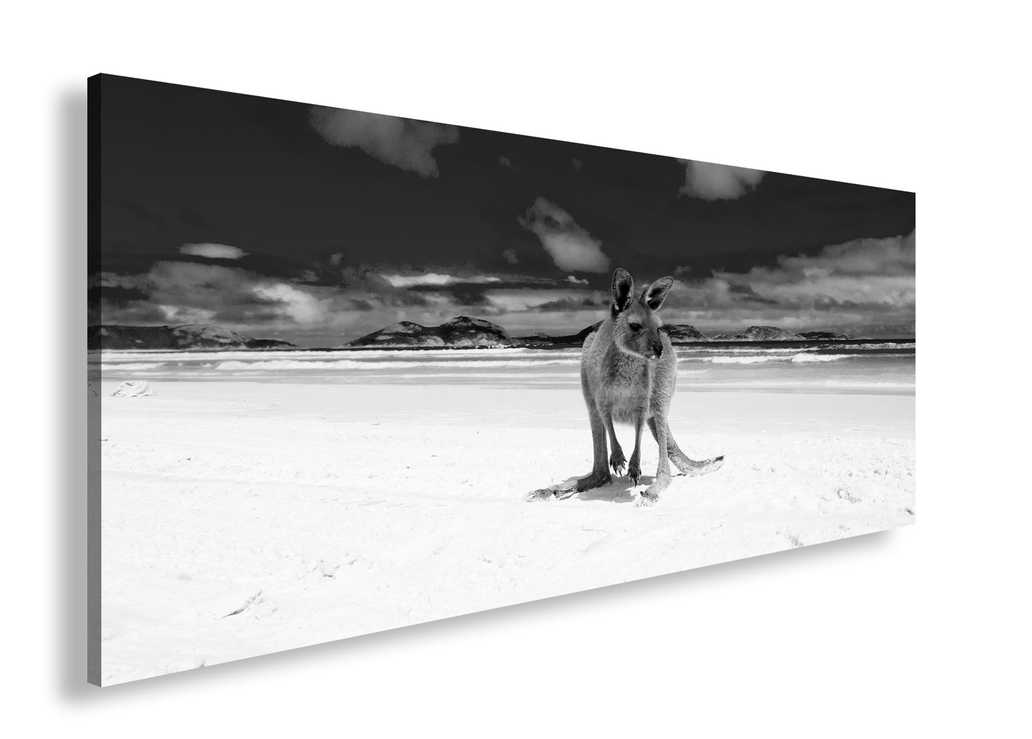 Hauptbild Schwarz & Weiß Panorama