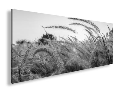 Hauptbild Schwarz & Weiß Panorama