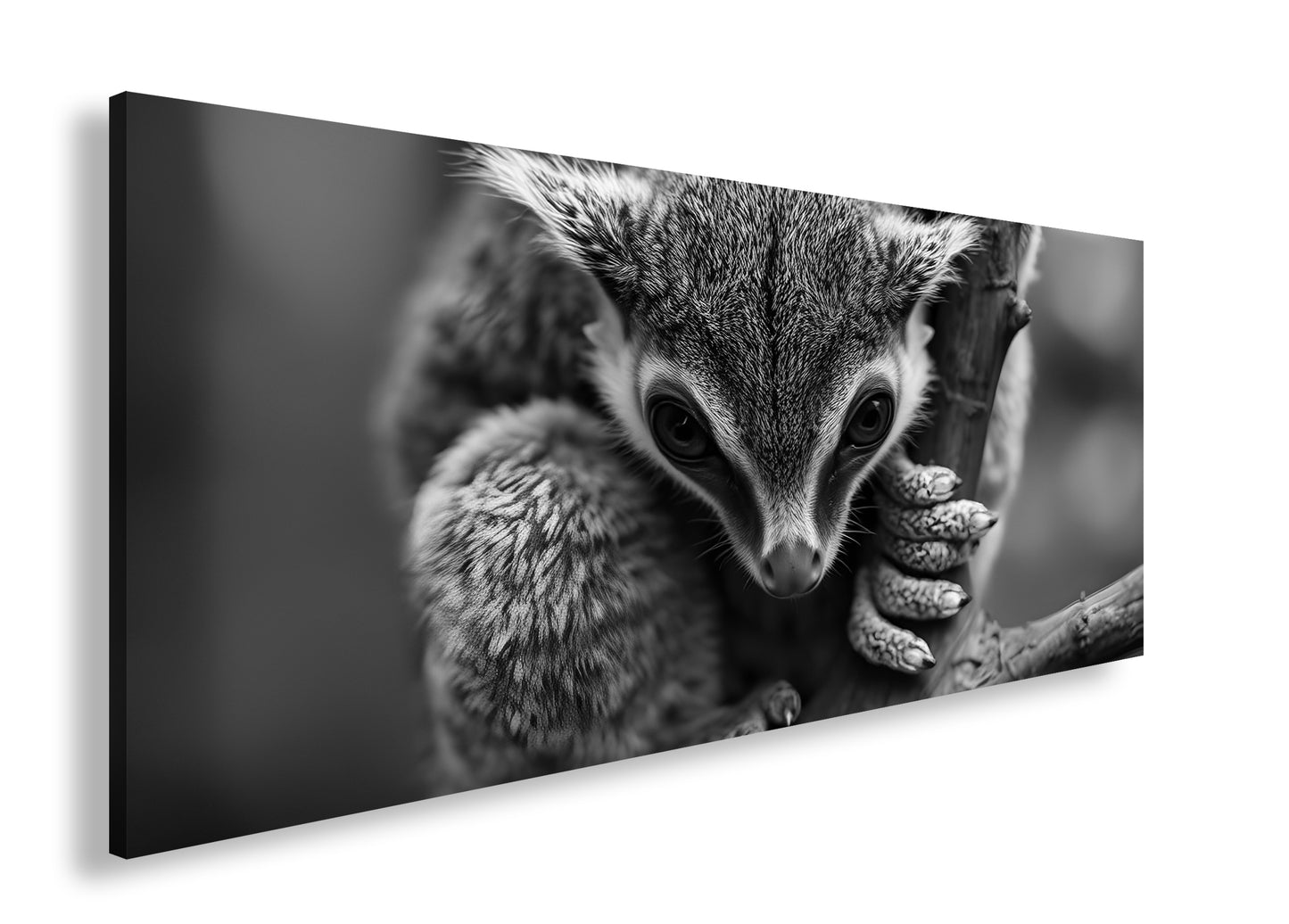 Hauptbild Schwarz & Weiß Panorama