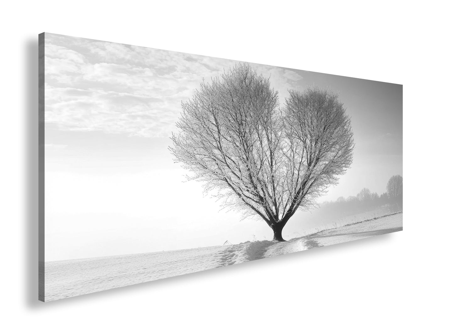 Hauptbild Schwarz & Weiß Panorama