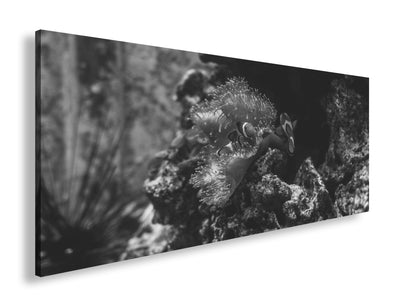 Hauptbild Schwarz & Weiß Panorama