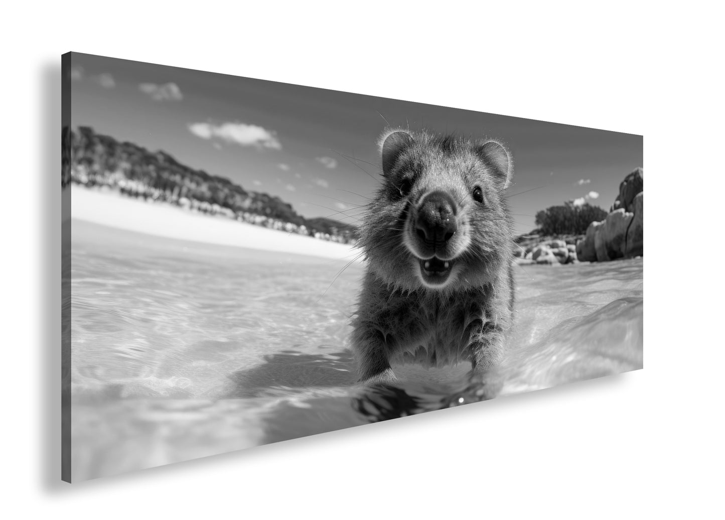 Hauptbild Schwarz & Weiß Panorama