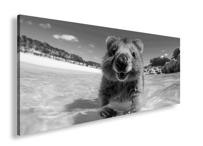 Hauptbild Schwarz & Weiß Panorama