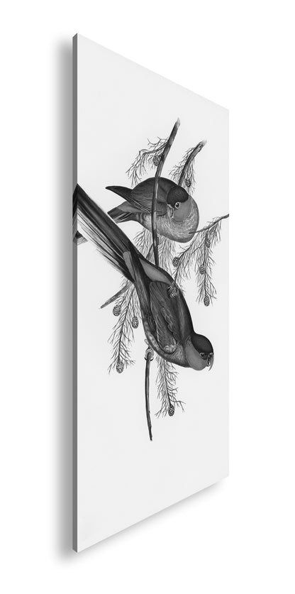 Hauptbild Schwarz & Weiß Panorama