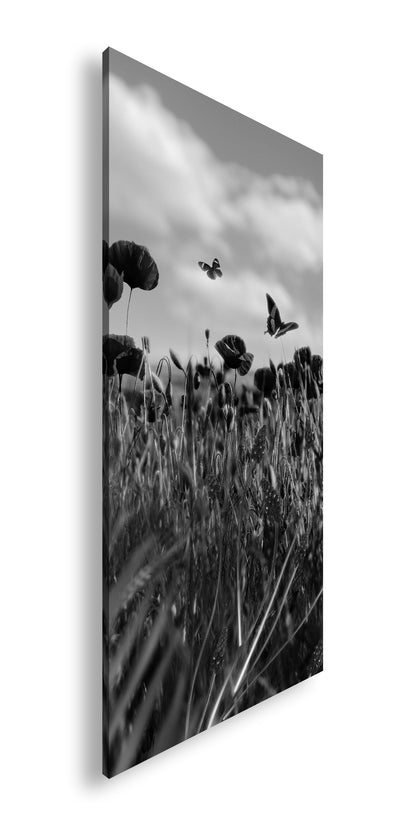 Hauptbild Schwarz & Weiß Panorama