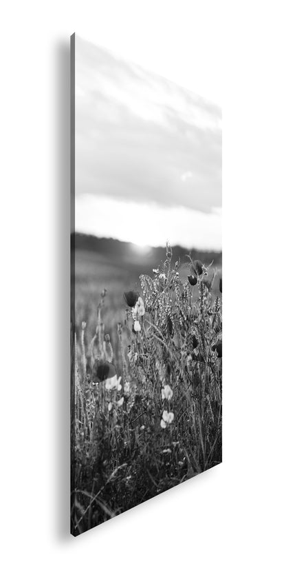 Hauptbild Schwarz & Weiß Panorama