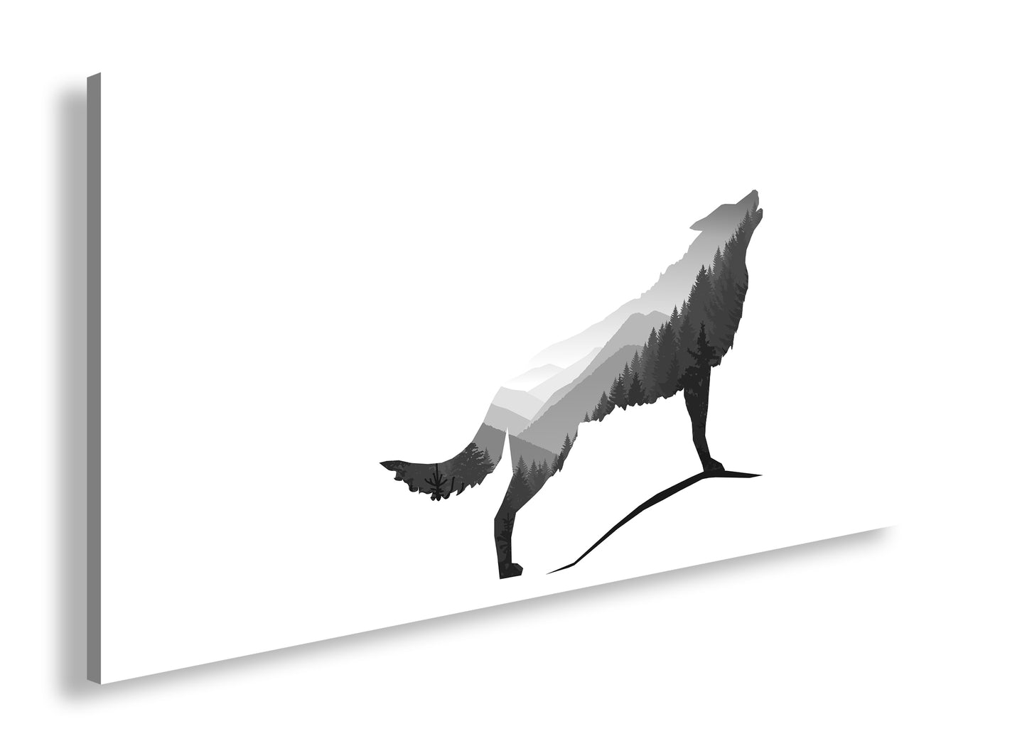 Hauptbild Schwarz & Weiß Panorama