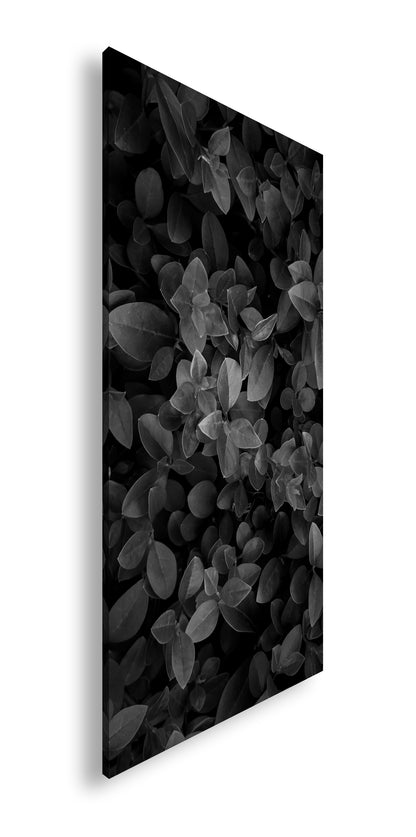 Hauptbild Schwarz & Weiß Panorama