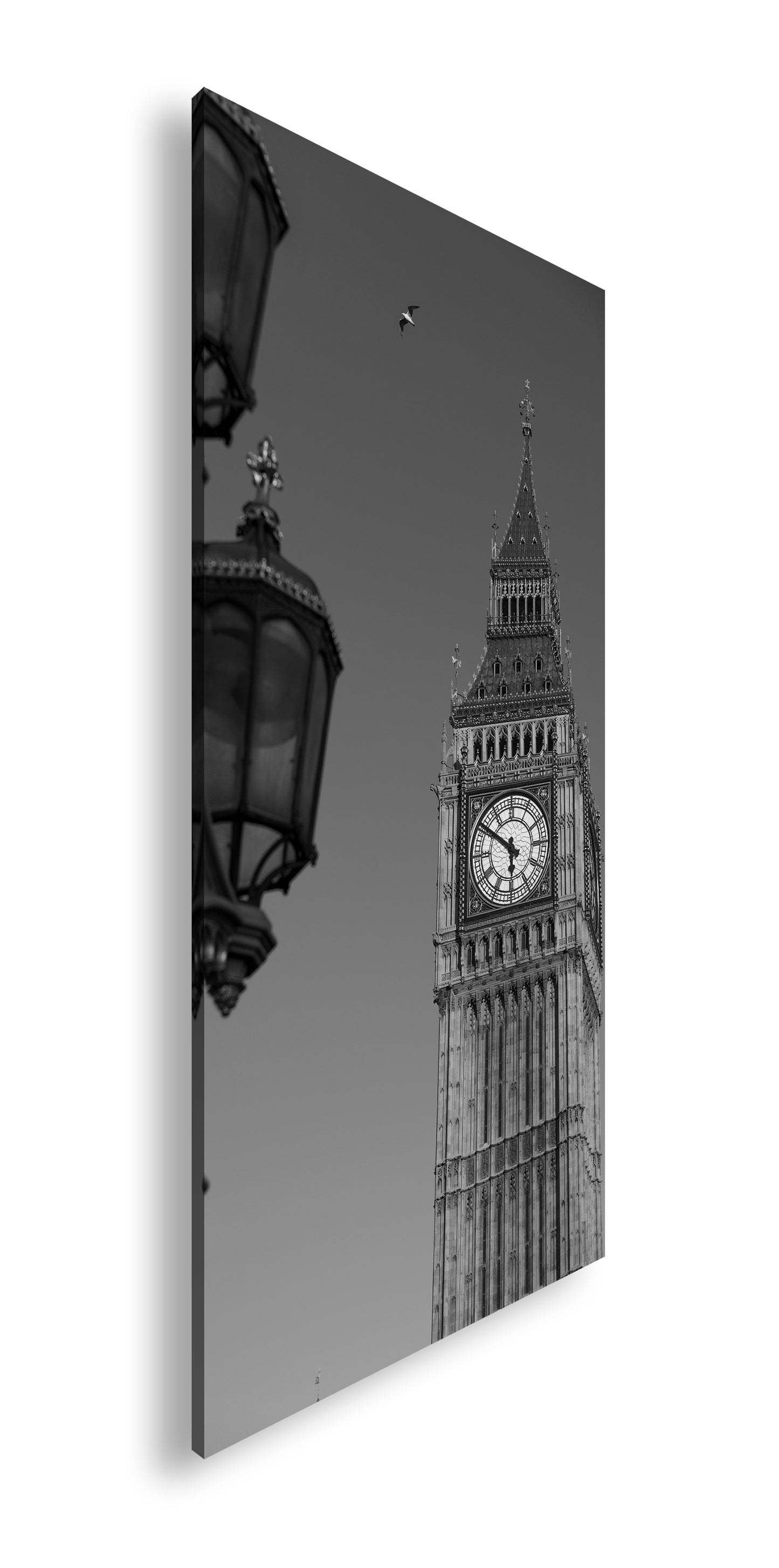 Hauptbild Schwarz & Weiß Panorama