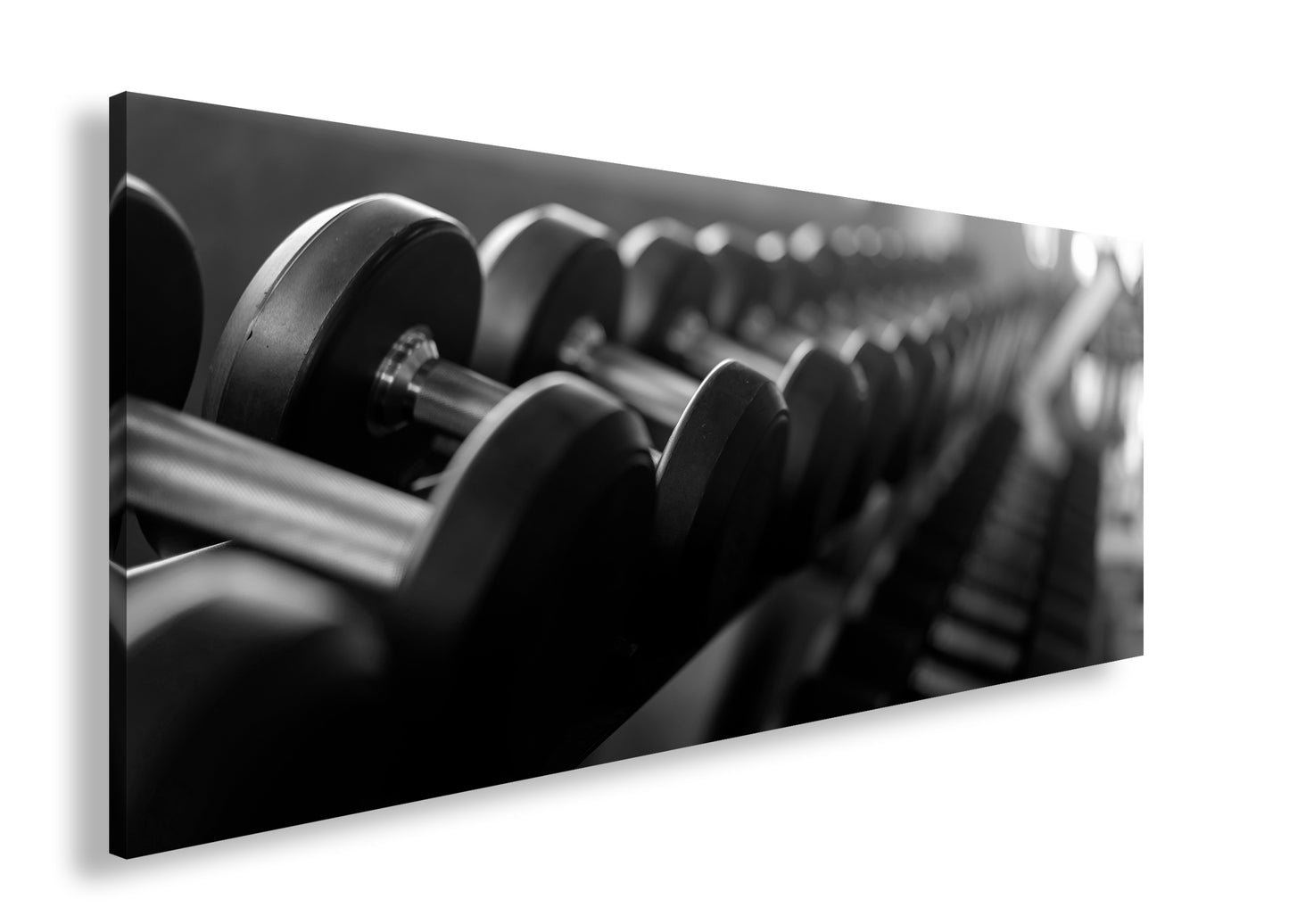 Hauptbild Schwarz & Weiß Panorama