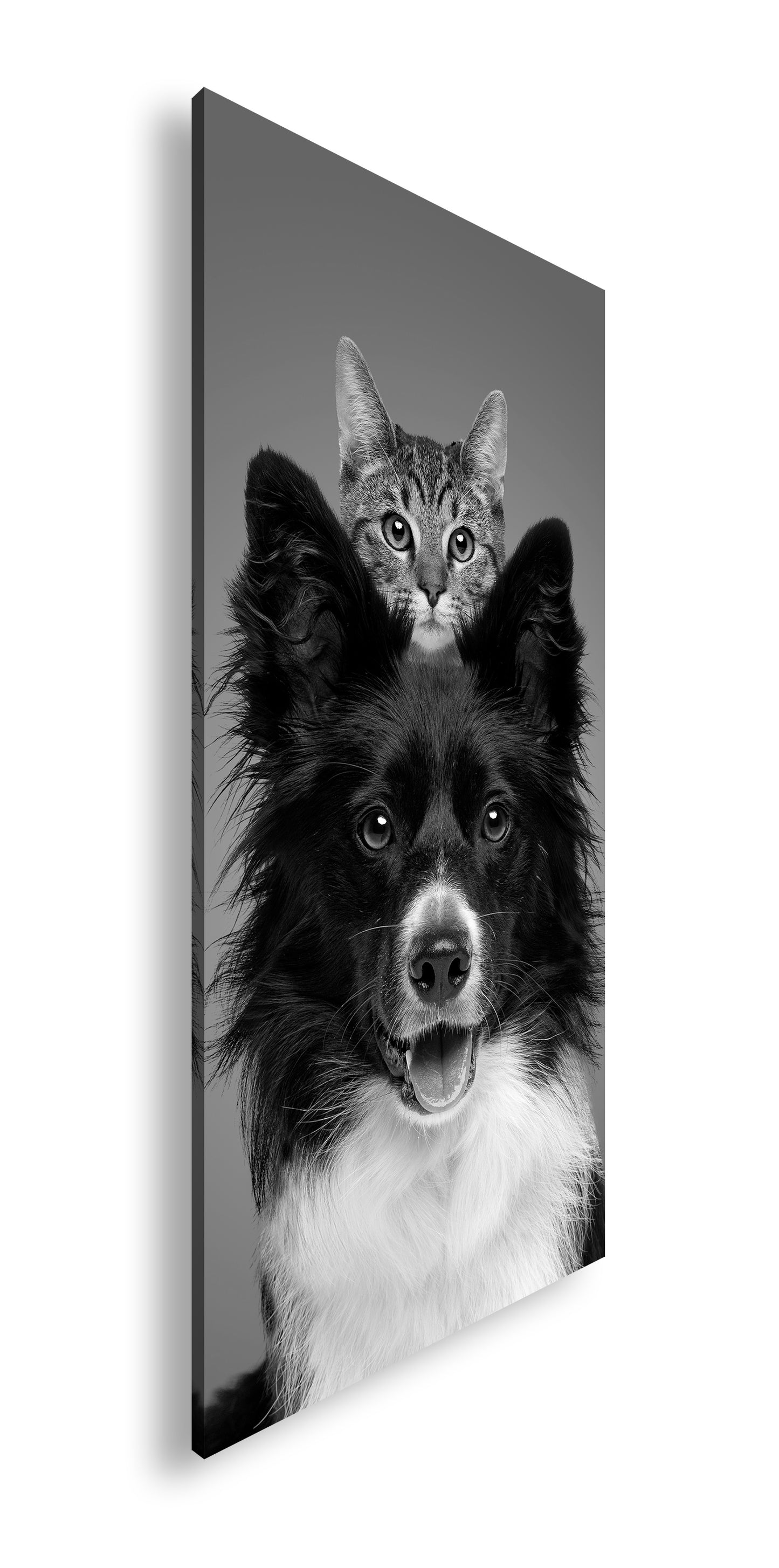 Hauptbild Schwarz & Weiß Panorama