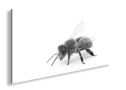 Hauptbild Schwarz & Weiß Panorama