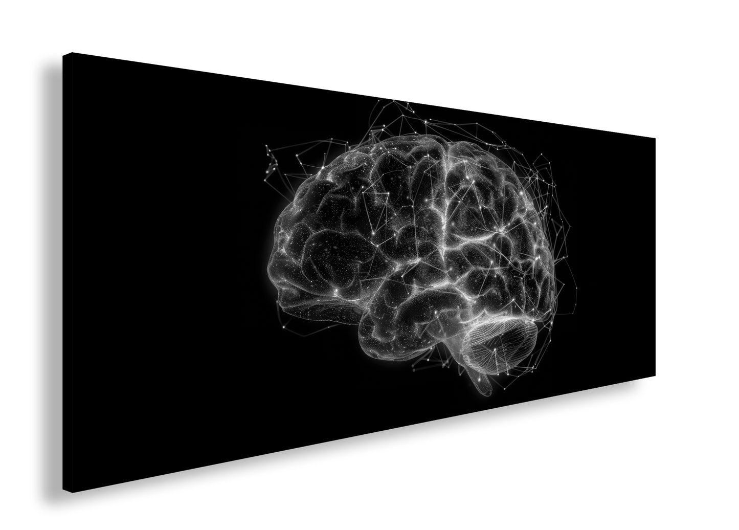 Hauptbild Schwarz & Weiß Panorama